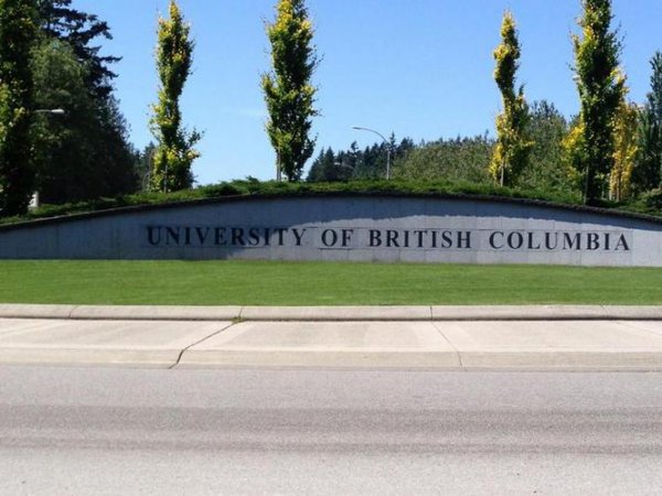 ubc大学相当于国内什么大学