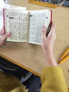 小学生常用的查字典的方法有哪三种 音序查字法介绍