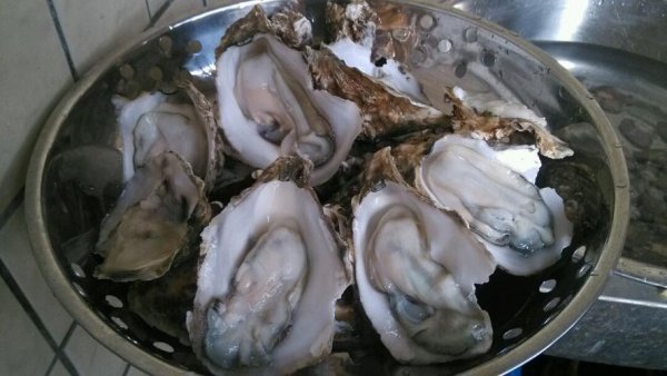 生蚝暂时不吃如何保存时间久需要冰块吗