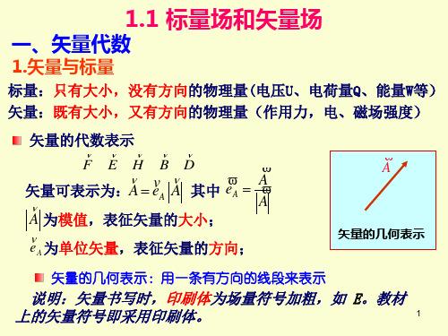 物理中标量和矢量的区别与定义是什么