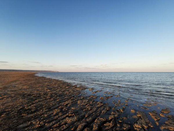 咸海在哪里