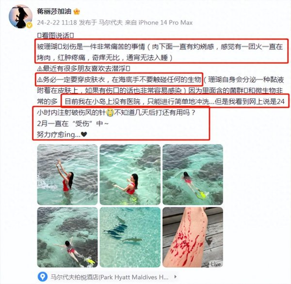 陈浩民太太被珊瑚划伤