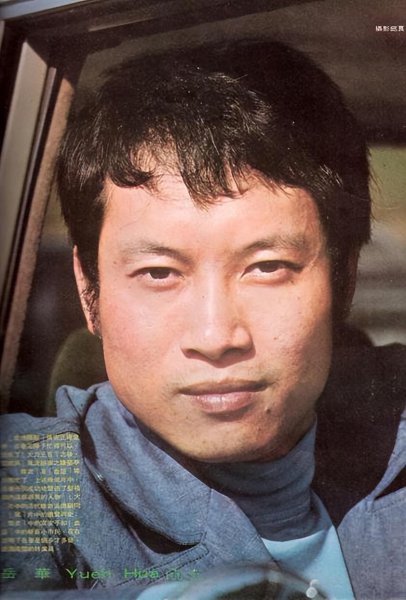 岳华个人资料