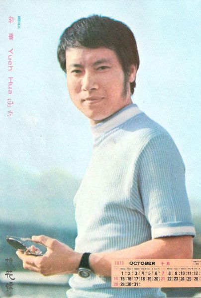 岳华个人资料