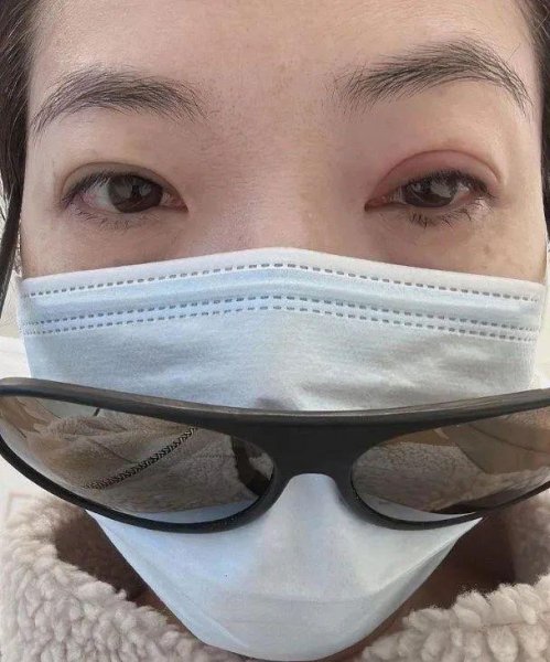 车婉婉个人资料