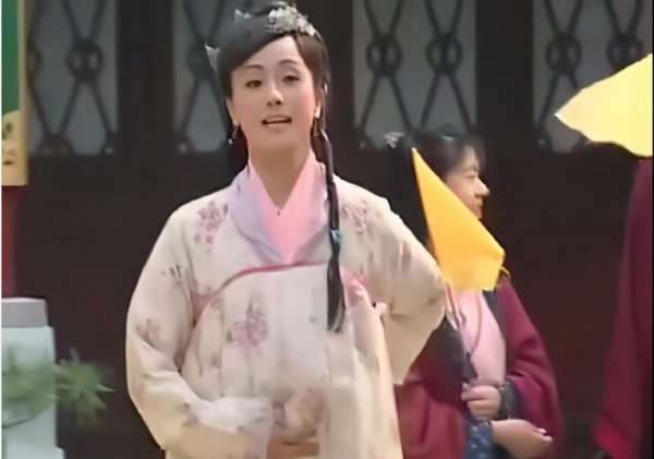 盖鸣晖演过的电视剧