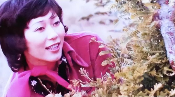 黄文慧个人资料