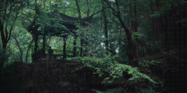 电视剧问苍茫
