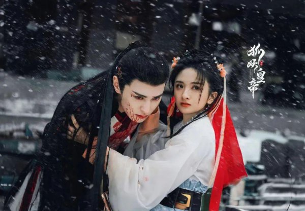风月如雪电视剧剧情介绍