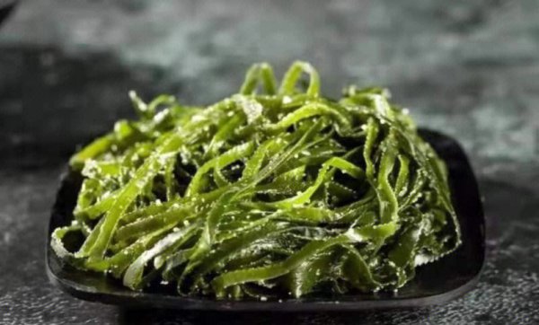 裙带菜是海带苗吗能吃吗
