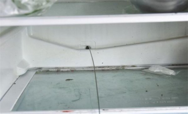 冰箱里的水排哪里去了