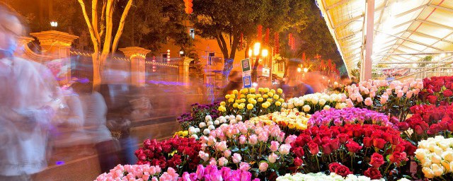 适合送女生的花