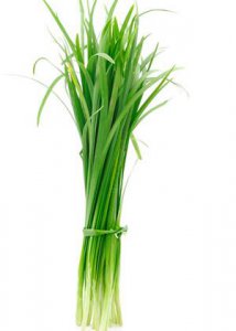 疙瘩汤的家常做法 常见的韭菜家常做法大全