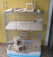 野生龙猫 揭秘五种龙猫住所不可少的用具
