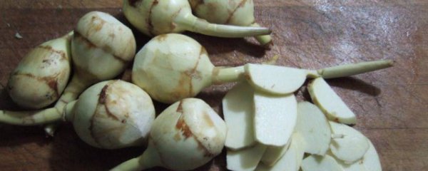 茨菇的做法功效与作用