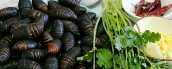 干煸茧蛹的做法