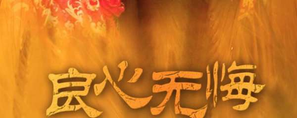 良心无悔剧情介绍