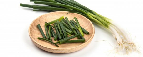 大葱怎样保存保鲜