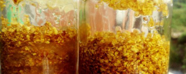 鲜桂花怎么处理才能泡水喝