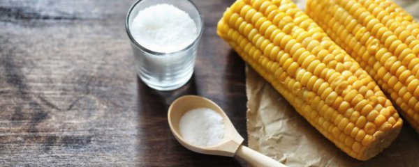 玉米糁搭配什么熬粥喝