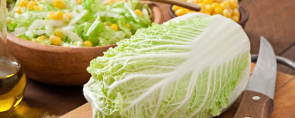 教你大白菜5种做法