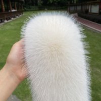 貉子毛贵吗 貉子皮的材质 貉子毛是什么动物