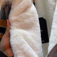 狐狸毛和貉子毛的区别是什么 狐狸毛内胆好吗