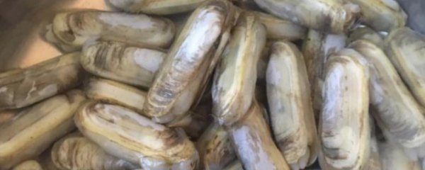 洋葱海蛏炒蛋的做法