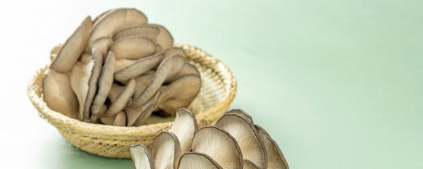 蘑菇采用什么方法保存