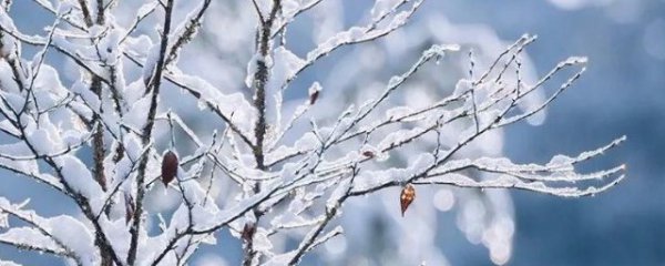 下雪句子表达心情短语