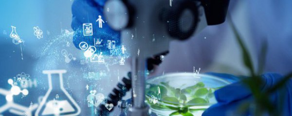 原（Z-D）爆炸成功是哪一年