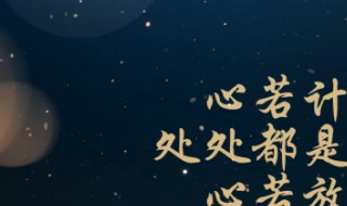 抖音最火的伤感句子 2023年抖音最火励志的句子