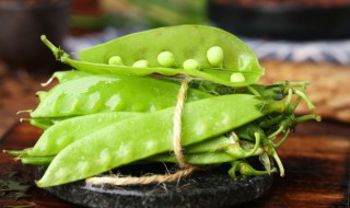 荷兰豆贮藏管理技术 豌豆种植技术与管理