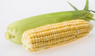 玉米粥的最佳搭配 玉米粥的最佳搭配有什么