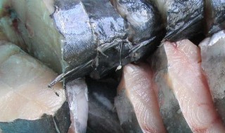 咸菜鲅鱼最正宗的做法窍门 五香鲅鱼怎么腌制方法窍门