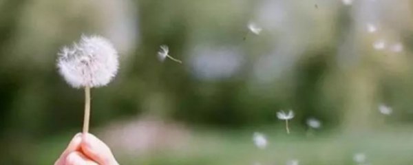 一切看淡顺其自然的说说