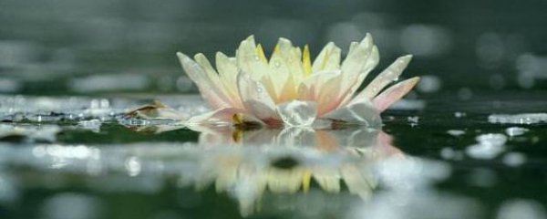 看透人心的禅语