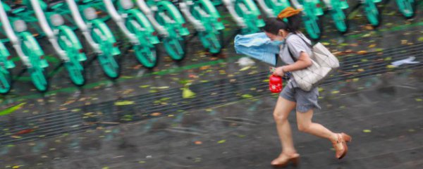 关于台风来了的说说