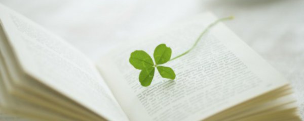 关于失恋的说说超感动