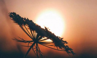 人生三观经典语录 人生观的经典语录句子有哪些