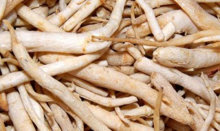 沙参的食用方法 沙参的食用方法有哪些