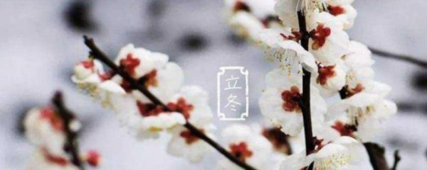 关于立冬节气的祝福语