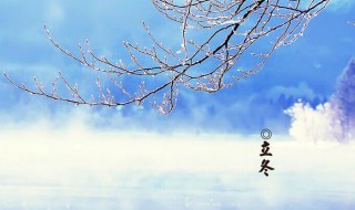 描写立冬的唯美句子 立冬暖人心的优美句子