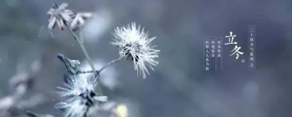 描写立冬的句子精选
