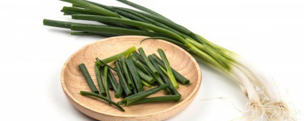 小葱种子怎么种植
