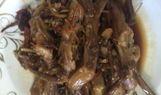 烩鸭舌掌的做法 鸭舌掌叶子黄怎么回事