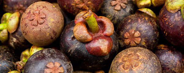 山竹保鲜的技术