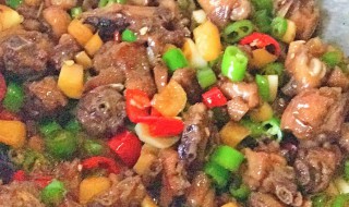 子姜炒鸭片的做法 广东子姜炒鸭的做法窍门