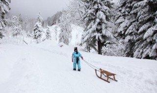 暴雪预警级别 雪灾等级怎么划分