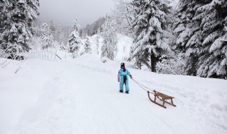 暴雪预警级别颜色都代表着什么 暴雪预警级别颜色介绍